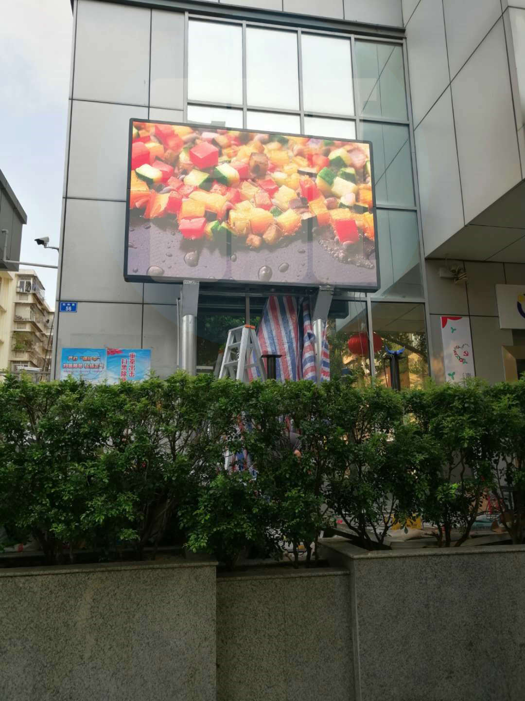 1557023951635137.8.jpg